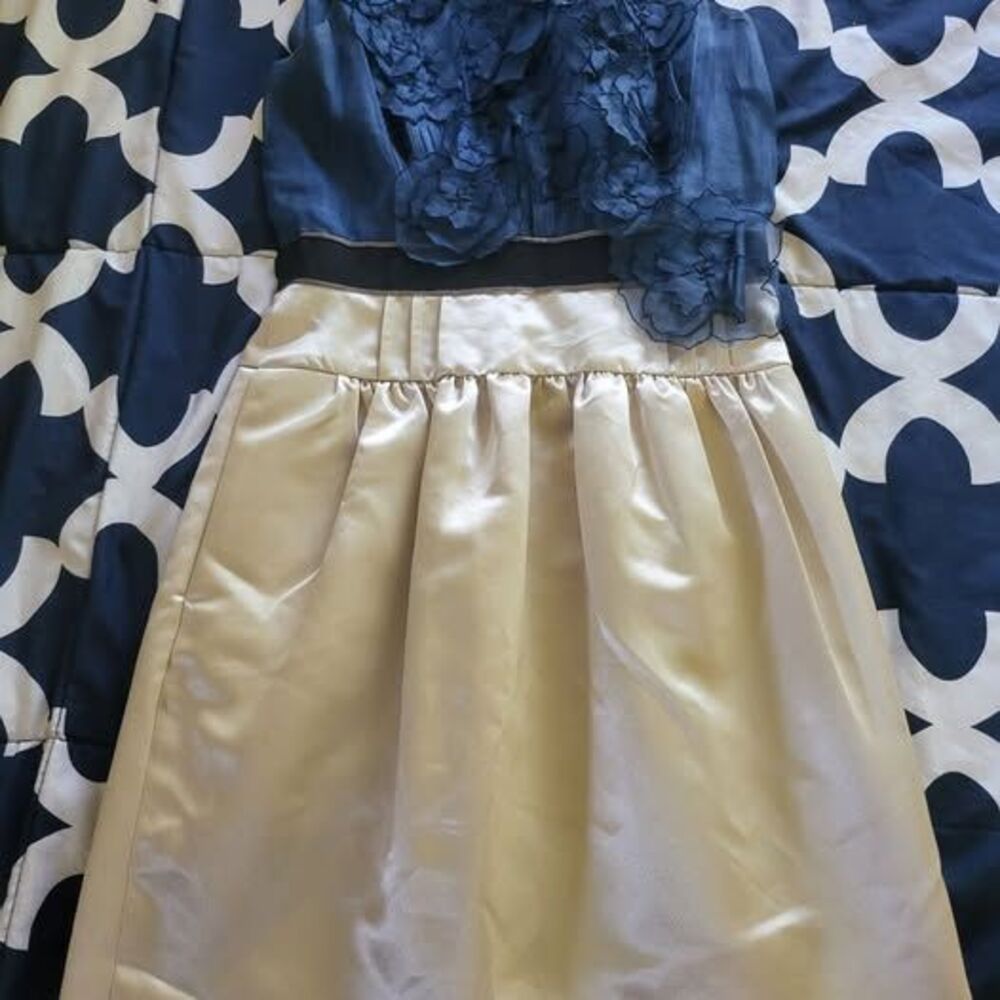 BCBG MaxAzria Women's Vintage Cocktail Style Silk Dress Size 02 Blue/Cream